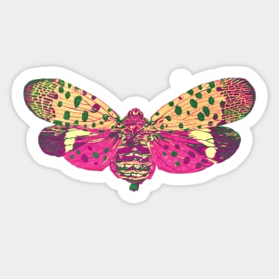 Spotted Lantern Bug Sticker